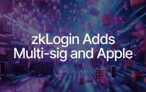 zkLogin Adds Multi-sig Recovery, Apple Credentials