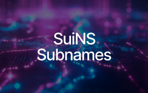 Advancing Web3 Identity Structures with SuiNS Subnames