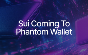 Phantom Wallet Integrating Sui