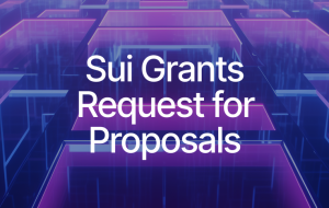 Sui Grants Introduce a Request for Proposals