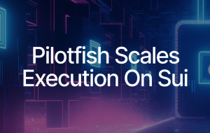 Scaling Out Sui Execution with Pilotfish