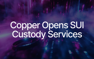 Copper Offers Custody, Staking for SUI