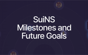 SuiNS Achievements and Vision for the Future