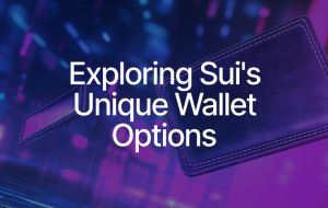 The Spectrum of Wallet Options on Sui