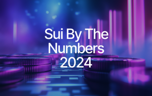 Sui’s Unforgettable 2024 in Numbers