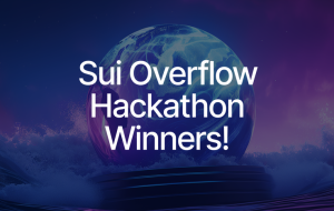 Announcing the Sui Overflow Hackathon Winners
