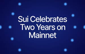 Sui Celebrates Second Anniversary with a Tsunami of Growth
