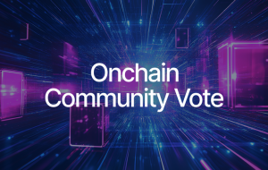 Response to the Cetus Incident – Onchain Community Vote