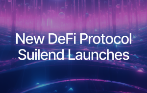 Solend Team Launches New DeFi Protocol Suilend