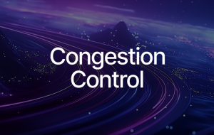 Streamlining Transactions with Sui’s Shared Object Congestion Control