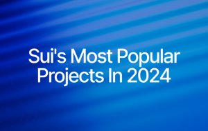 Sui's Most Popular Projects of 2024