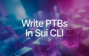 Create and Execute PTBs on Sui with the Sui CLI