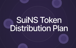 How the SuiNS Token Distribution Supports Community Governance