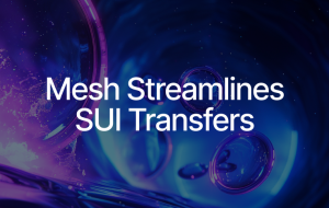 Mesh Onboards SUI, Simplifying Token Transfers