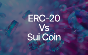 How to Create a Token: ERC-20 Standard Versus Sui Coin