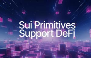 How Sui Primitives Help DeFi Flourish