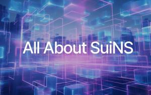 All About SuiNS