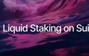 Cost Efficiency, Composability, and Decentralization with Sui’s Liquid Staking