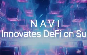 NAVI Leverages Silicon Valley Know-How for DeFi Success