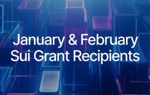 Sui Foundation's Grant Awardees: January-February Edition