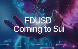 First Digital Stablecoin Debuting on Sui