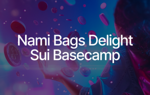 Sui Nami Bags Revolutionize NFT Use Cases