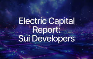 Sui Developers Lead the Way with Move Innovation