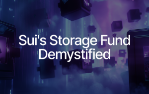 Sui’s Storage Fund Demystified