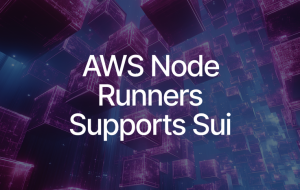 Amazon AWS Node Runners Adds Sui Support
