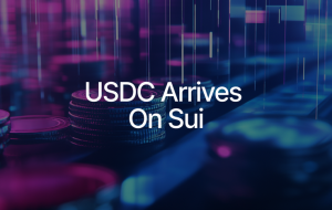 USDC Now Available on Sui