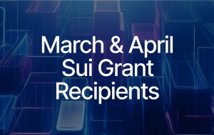 Sui Foundation's Grant Awardees: March-April Edition