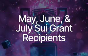 Sui Foundation's Grant Awardees: May through July Edition