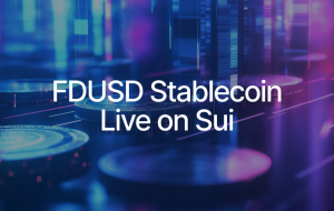FDUSD Now Available on Sui