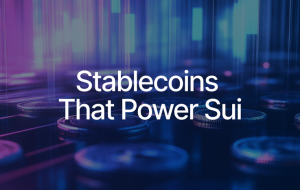 The Rise of Native Stablecoins on Sui