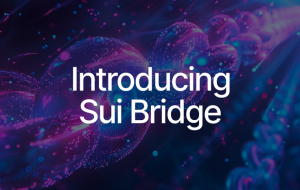 Sui Bridge Goes Live on Testnet with Incentive Program