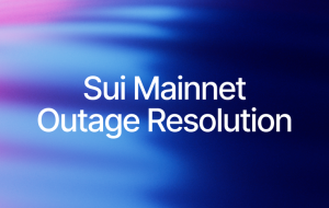 Sui Mainnet Outage Resolution
