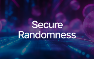 Unlocking the Power of Native Randomness on Sui
