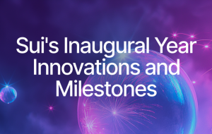 Sui's Leading Technology Results in a Stunning First Year