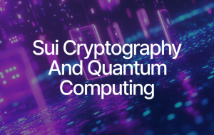 Securing Sui in the Quantum Computing Era