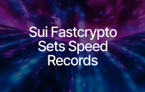 Sui's Fastcrypto Cryptography Library Sets Speed Records