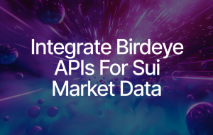 Access Crypto Market Data APIs on Sui with Birdeye