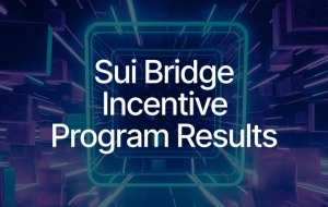 Sui Bridge Test Delivers Bug Fixes and Insights