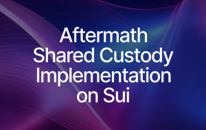 From Concept to Implementation: Shared Custody on Sui