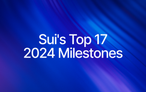 Sui's 17 Biggest Hits of 2024