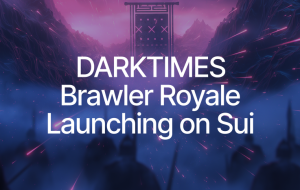 DARKTIMES Brings Medieval Brawler Royale to Sui