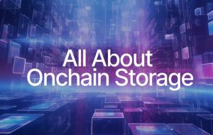All About Onchain Storage