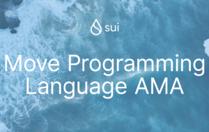 Sui AMA: Move Programming Language