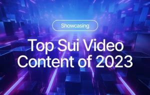 The Top 6 Sui Videos of 2023