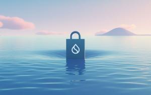 How Sui Engages with Independent Audits