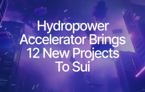 12 Teams Build on Sui Through Hydropower Accelerator